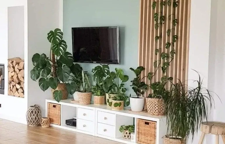 TV Setup by Mokxa Interior Designers Gurgaon Delhi NCR